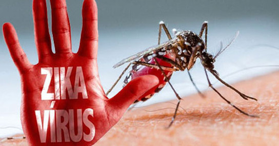 Cara rawat dan cegah ZIKA
