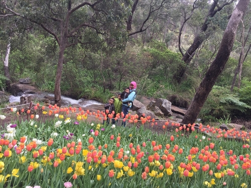 araluen botanical garden Perth