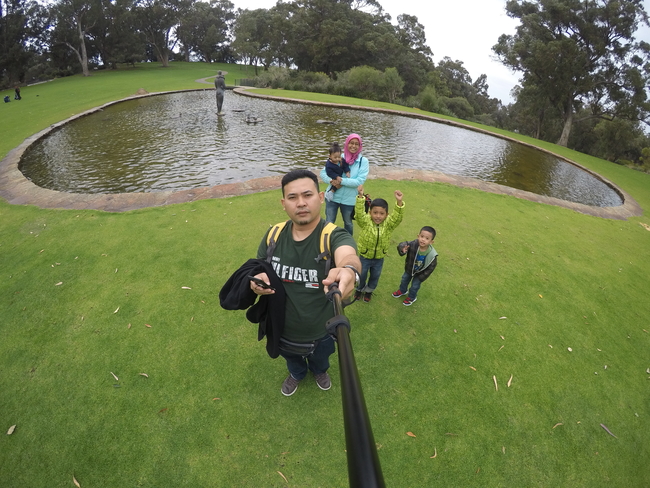 Taman Botanical Perth Kings Park
