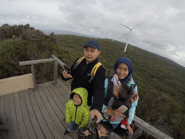The wind farm Albany