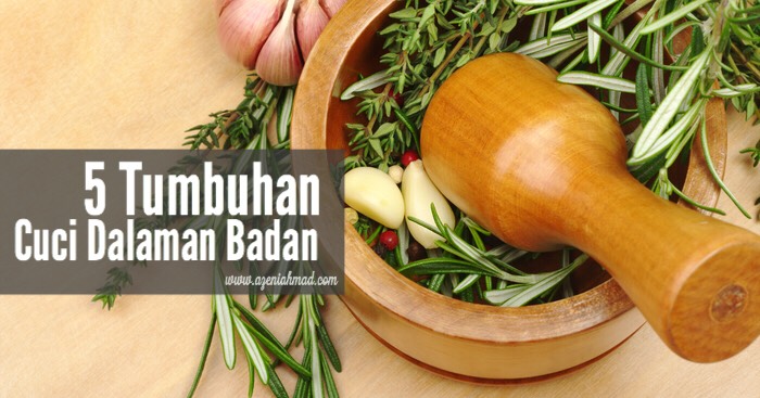 5 tumbuhan herba cuci dalaman badan