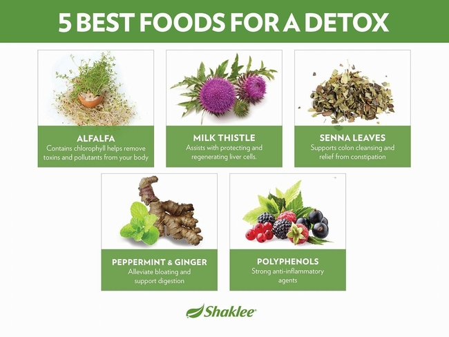 tumbuhan herba cuci dalam badan