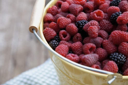 tumbuhan polifenol bantu cuci dalaman badan