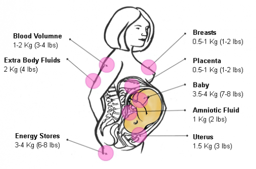 Cara elak berat badan naik mendadak semasa mengandung